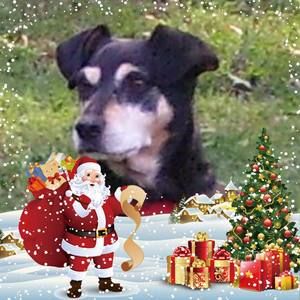 Meet your Posher, Melinda